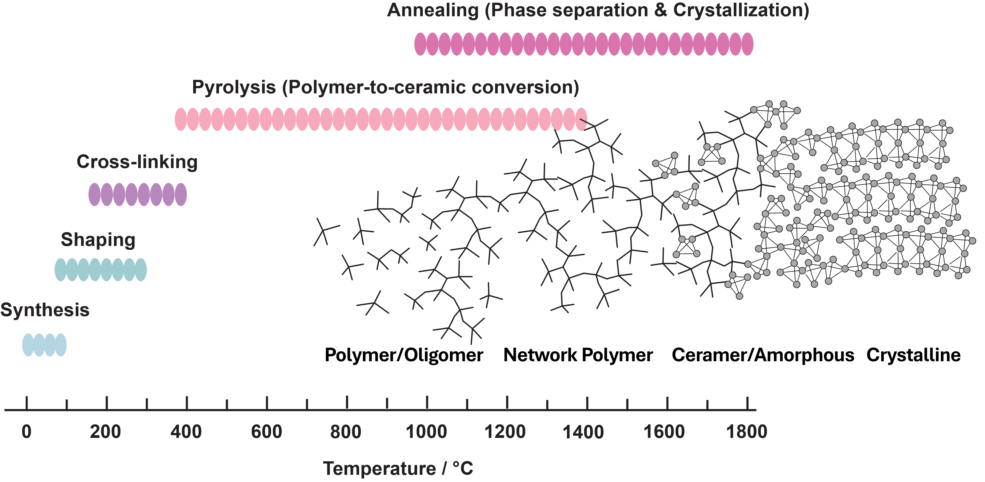 Polymer to ceramic conversion process
